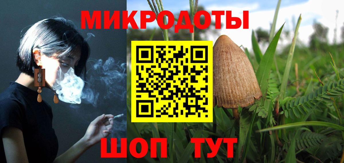Псилоцибиновые грибы Cubensis Луга